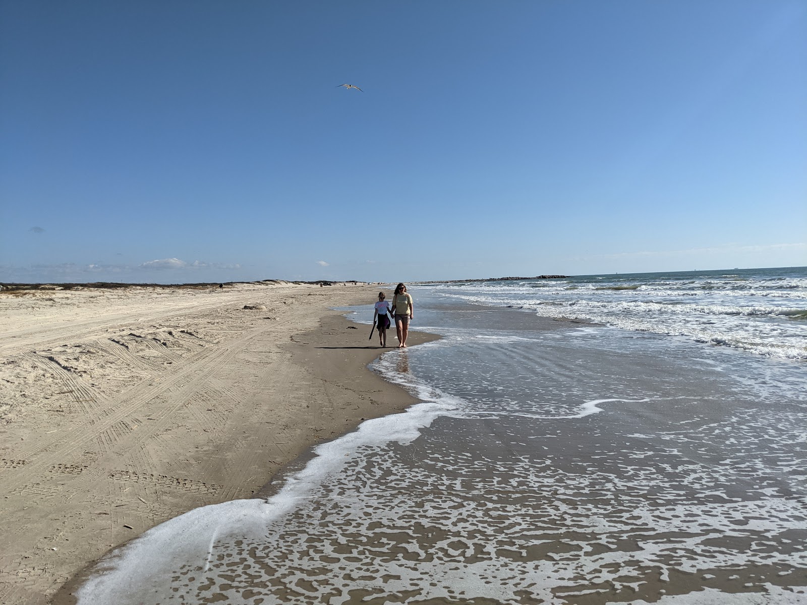 Photo of Mustang Park beach with long straight shore