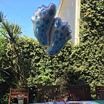 Photo n°1 de l'avis de Waldir.r fait le 05/07/2018 à 18:49 sur le  The Bird à Porto