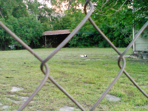 Park «Madison Square Park», reviews and photos, 400 Lexington Ave, San Antonio, TX 78215, USA