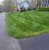 Sam I AM Lawn & Landscape Inc - Photo 5 - Car repair in , St. Petersburg