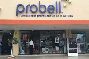 Probell image