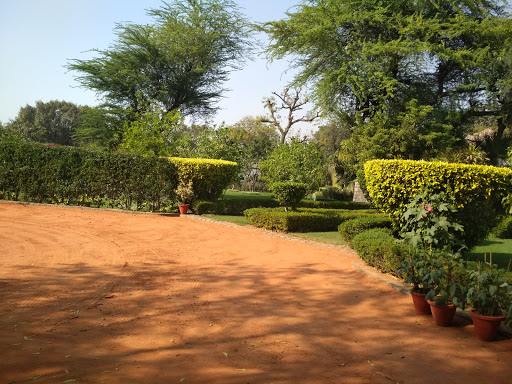 Outdoor terraces in Delhi