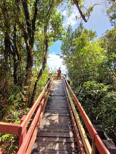 Reserva Costera Valdiviana - Camping
