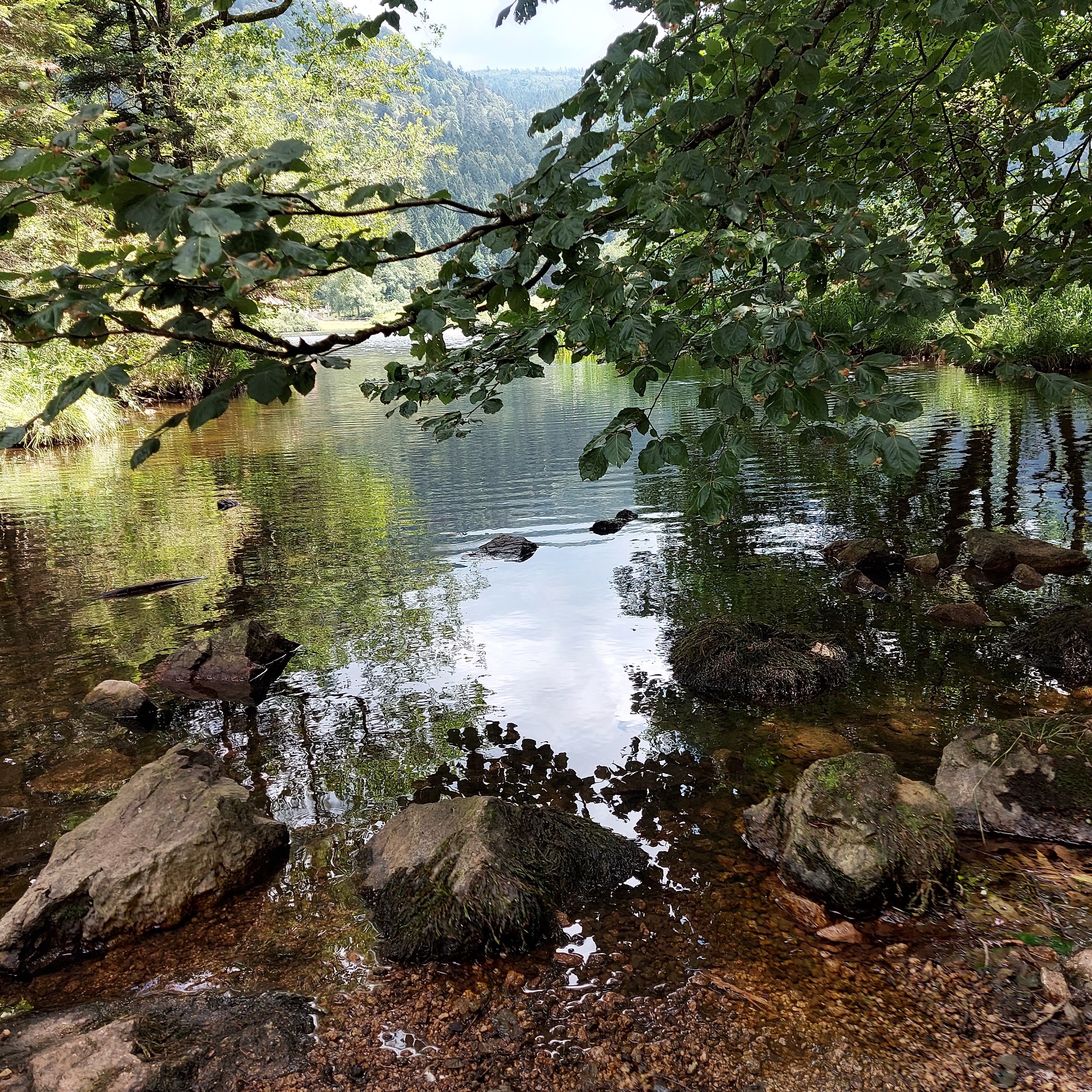 Photo n° 2 de l'avis de Mireille.o fait le 11/07/2022 à 21:59
