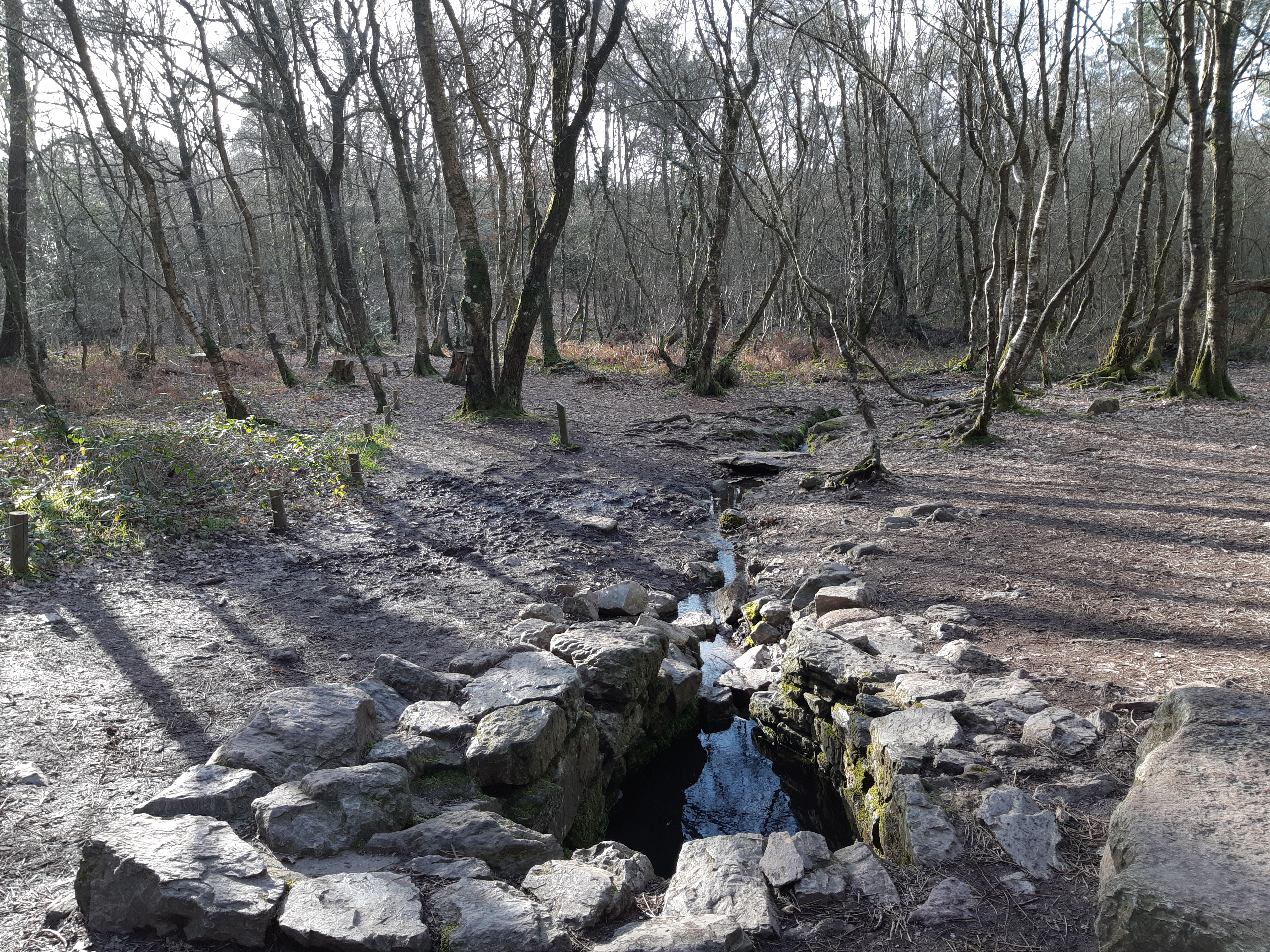 Photo n° 16 de l'avis de Jean-Paul.o fait le 10/03/2019 à 18:01