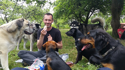 Nos chiens & nous à Souleuvre en Bocage