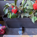 Photo n° 4 de l'avis de julien. fait le 05/11/2023 à 19:15 pour Boken - Manga restaurant- Bar à Bubble Tea à Paris