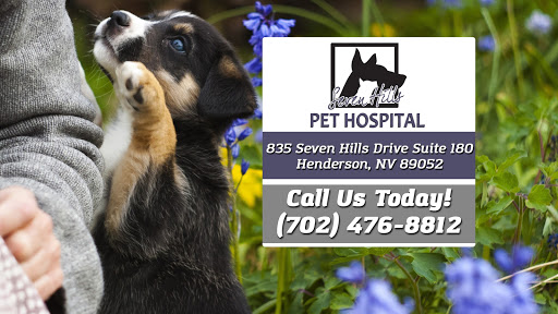 Seven Hills Pet Hospital