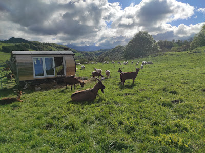 La ferme les bonheurs de Sophie à Besse-et-Saint-Anastaise