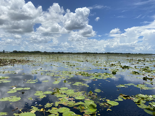 Sightseeing Tour Agency «Wild Willys Airboat Tours», reviews and photos, 4715 Kissimmee Park Rd, St Cloud, FL 34772, USA