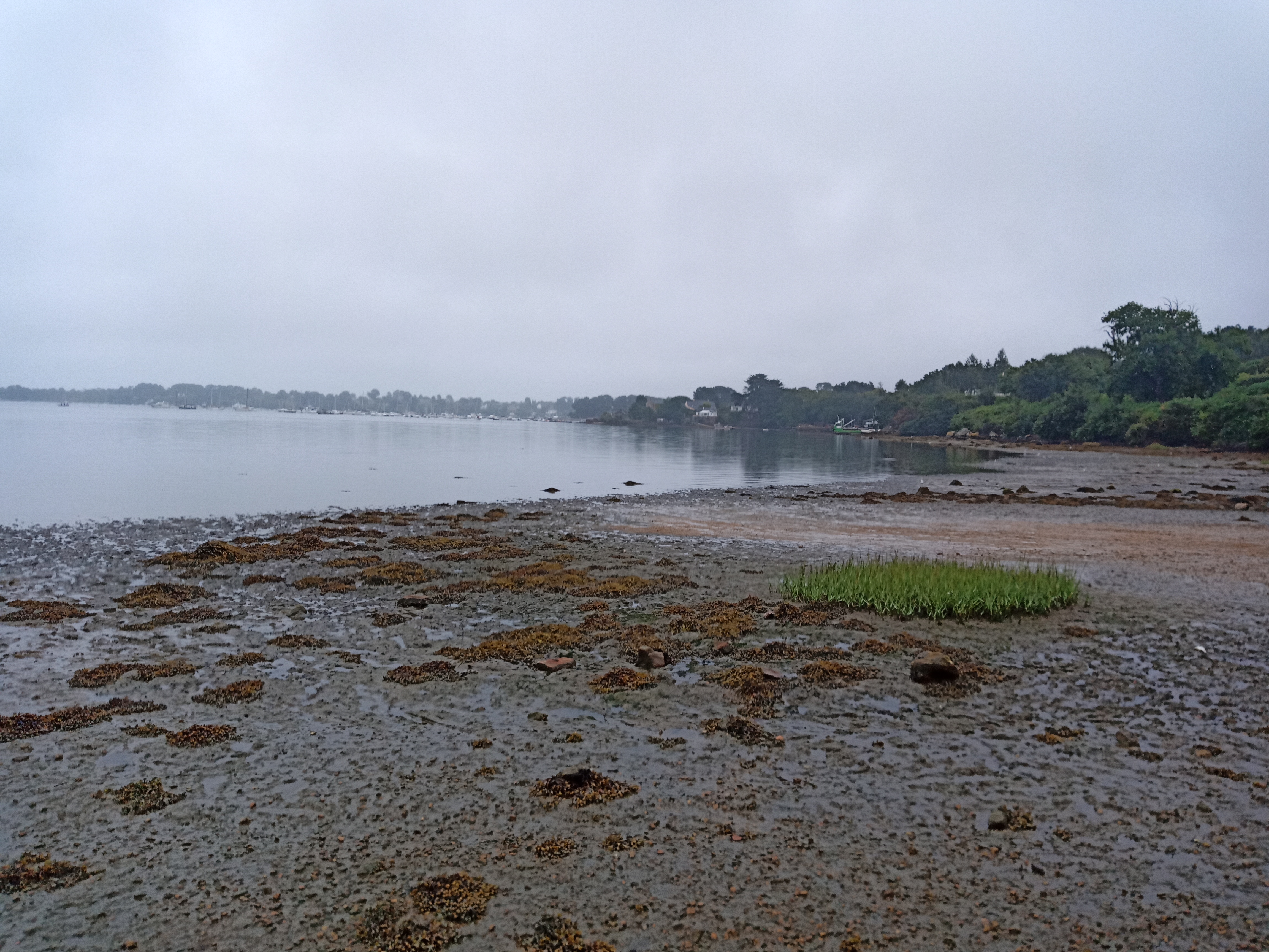 Photo n° 1 de l'avis de Franck.u fait le 27/08/2019 à 21:41