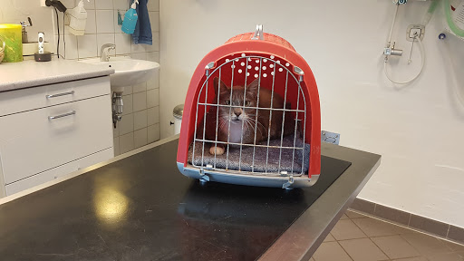 Maribo Dyrehospital ApS in Maribo, Lolland