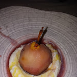 Photo n°1 de l'avis de Sabrina.c fait le 18/09/2021 à 18:44 sur le  Osteria del Sole 180 à Cesenatico