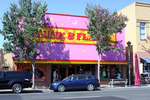 Funk & Flash, 228 S Main St, Sebastopol, CA 95472, USA, 