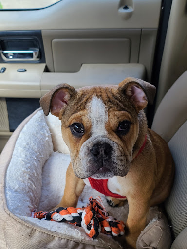 1946 S College St, Auburn, AL 36832, USA