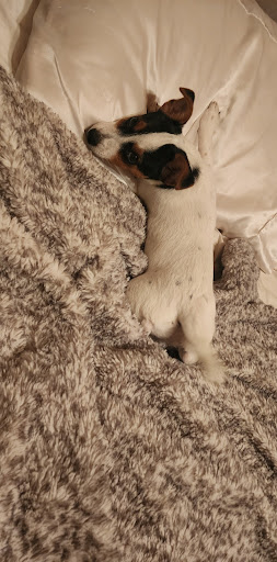 Benton Animal Hospital