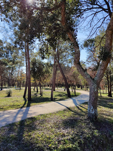Comentários e avaliações sobre o Parque dos Pinheiros Mansos - Oliveira do Bairro