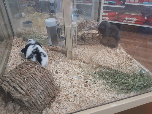 Pet Supply Store «Pet Supermarket», reviews and photos, 4524 St Johns Ave, Jacksonville, FL 32210, USA