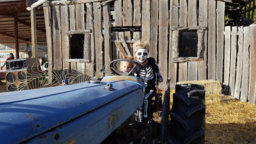 Haunted House «Hee Haw Farms & Corn Maze», reviews and photos, 150 S 2000 W, Lindon, UT 84042, USA