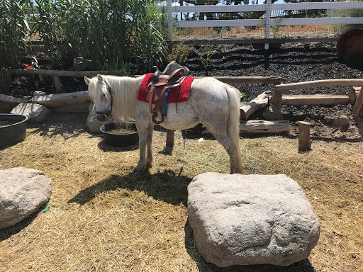 Tourist Attraction «The Farm at Gardner Village», reviews and photos, 1100 7800 S, West Jordan, UT 84088, USA