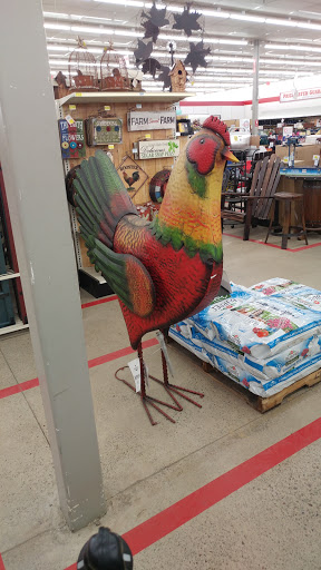 Home Improvement Store «Tractor Supply Co.», reviews and photos, 1424 W Main St Ext #1, Grove City, PA 16127, USA