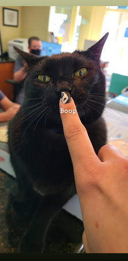 Nail Salon «Boutique Nails», reviews and photos, 9945 Trinity Blvd, New Port Richey, FL 34655, USA