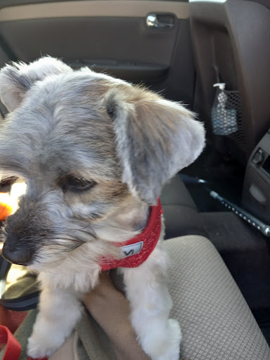 Pet Supply Store «PetSmart», reviews and photos, 3610 Rosecrans St, San Diego, CA 92110, USA