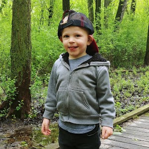 Hoyt Park - photo 81
