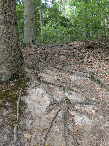 Museum «Gunston Hall», reviews and photos, 10709 Gunston Rd, Lorton, VA 22079, USA