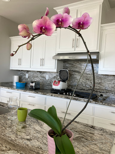 Grocery Store «Bel Air», reviews and photos, 1286 Stabler Ln, Yuba City, CA 95993, USA