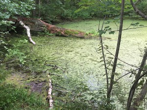 Robert Frost Farm State Historic Site - photo 35