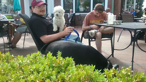 Coffee Shop «Joe Coffee & Cafe», reviews and photos, 170 Commercial St, Provincetown, MA 02657, USA