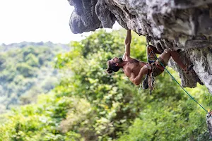 Cat Ba Climbing image