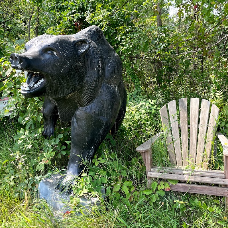 Bear ‘n Chair