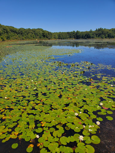 Park «Pond Meadow Park», reviews and photos, 470 Liberty St, Braintree, MA 02184, USA