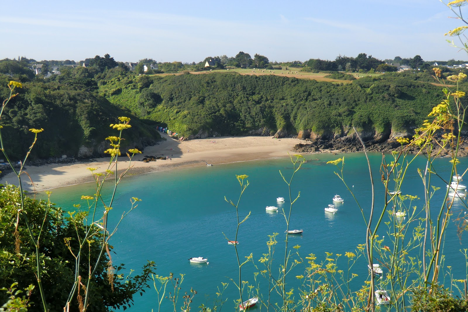 Plage de la Fresnaye的照片 带有明亮的沙子表面