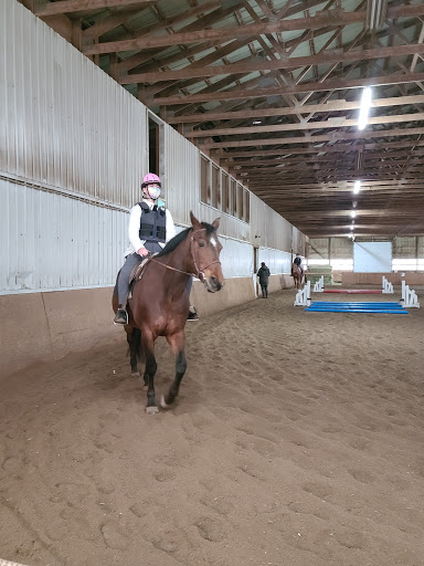 Horse riding courses Toronto