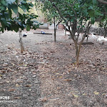 Photo n°10 de l'avis de Salvatore.i fait le 23/11/2019 à 16:37 sur le  Ristorante Il Cerqueto à Marzano di Nola