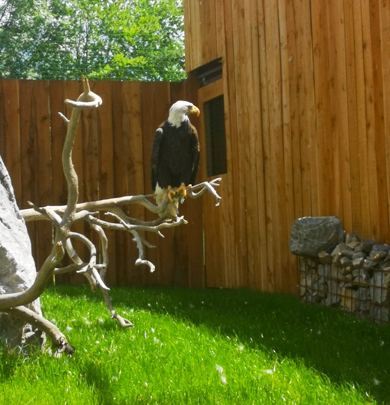 Photo n° 16 de l'avis de Thierry.E fait le 17/06/2022 à 17:40