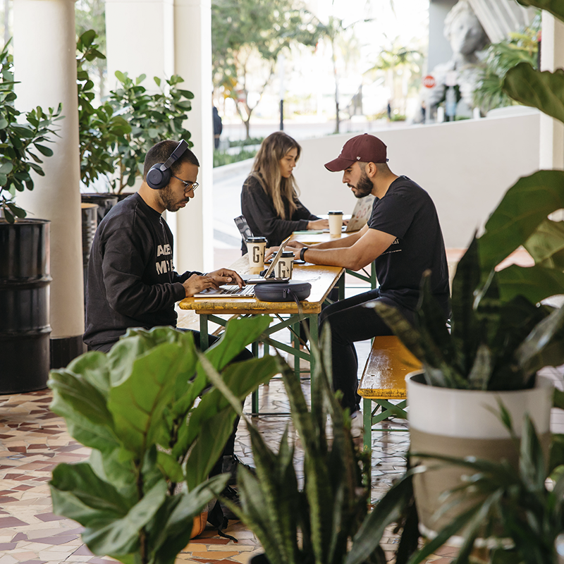 The Palm Cafe at General Provision