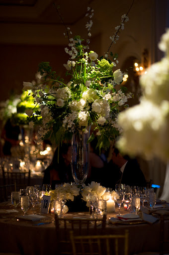 Florist «Botanica International Florist Inc.», reviews and photos, 1715 W Cypress St, Tampa, FL 33606, USA