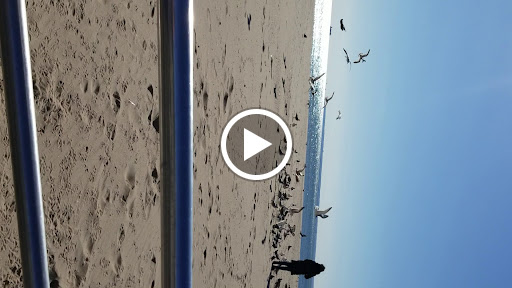 Community Center «Shorefront YM-YWHA», reviews and photos, 3300 Coney Island Ave, Brooklyn, NY 11235, USA