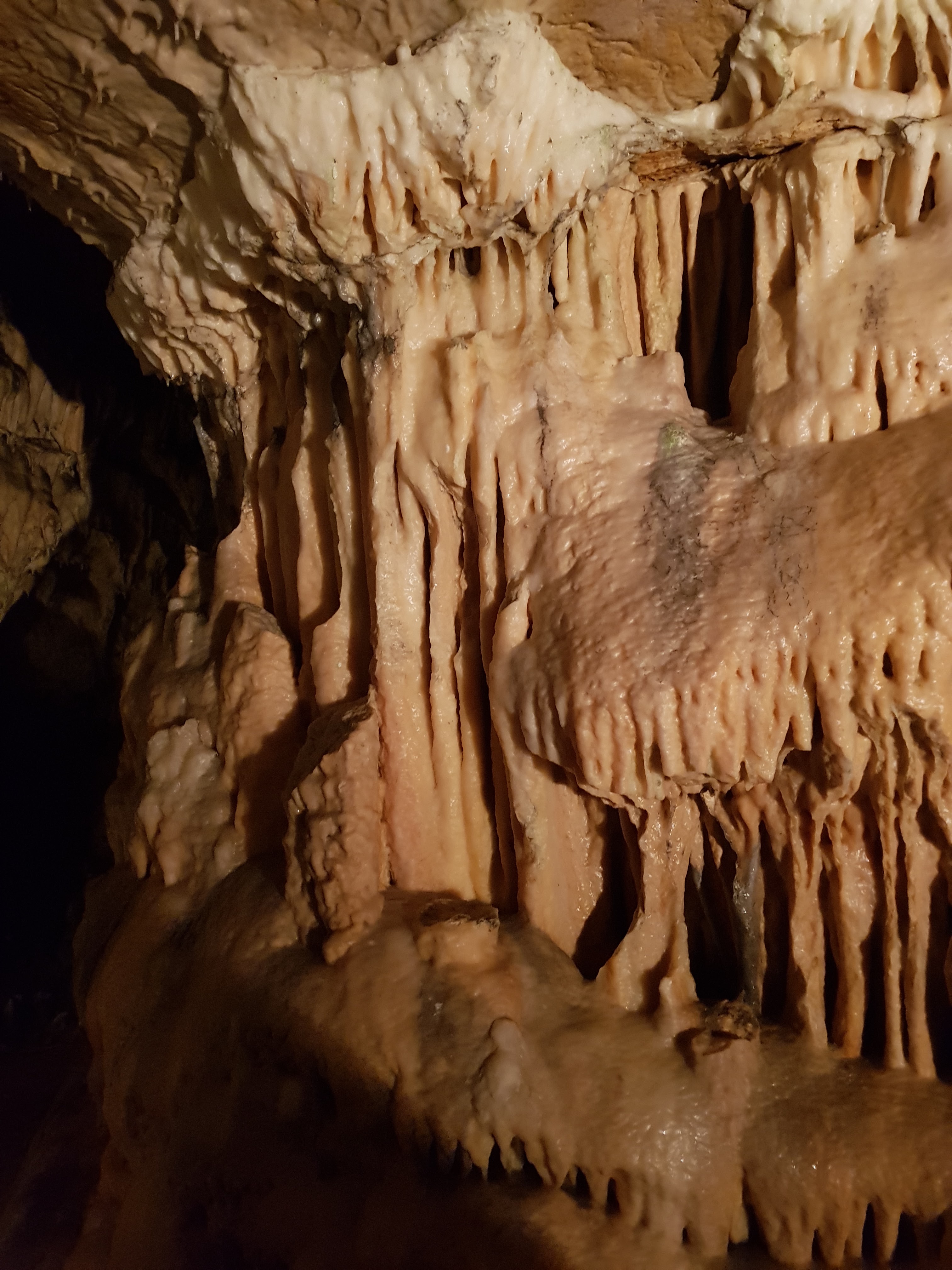 Photo n° 20 de l'avis de Jan.o fait le 05/06/2019 à 17:42