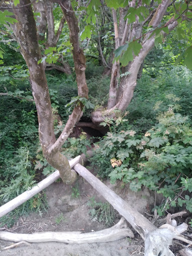 Golf Course «Useless Bay Golf & Country Club», reviews and photos, 5725 Country Club Dr, Langley, WA 98260, USA