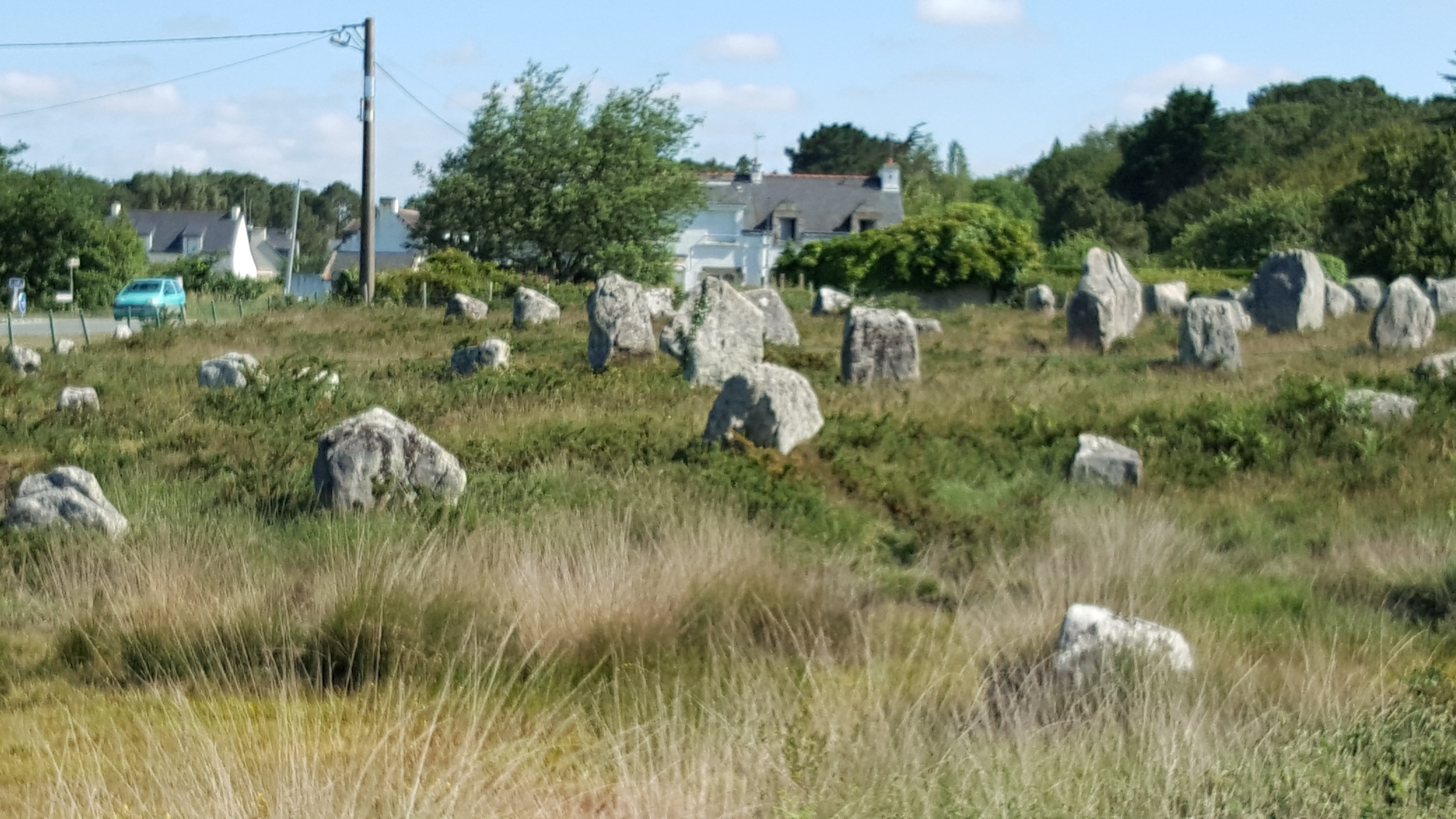 Photo n° 2 de l'avis de Texier.y fait le 03/06/2018 à 15:49