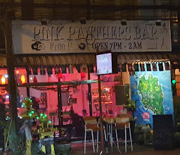Pink Panthers photo