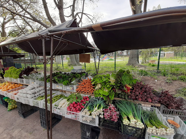 Feria Orgánica del Parque Rodó