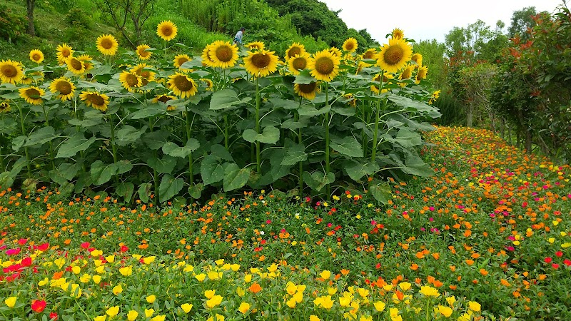 東桃川花木公園