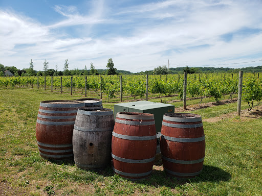 Winery «Hopewell Valley Vineyards», reviews and photos, 46 Yard Rd, Pennington, NJ 08534, USA