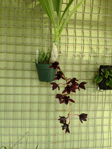 Stadium «Barton Hall», reviews and photos, 117 Statler Dr, Ithaca, NY 14853, USA